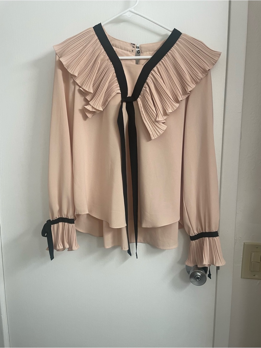 Pleated Trim Tie-Front Blouse in Blush with Black Accent